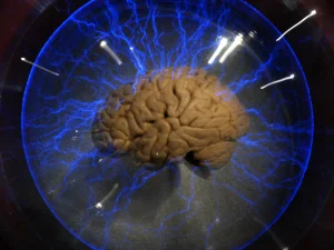 What If Your Brain Is Actually Two Brains in One?